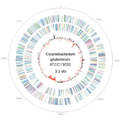 genomplot kl